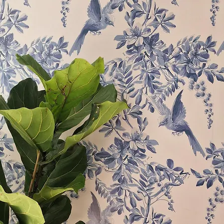 Donna Rosa - Your In