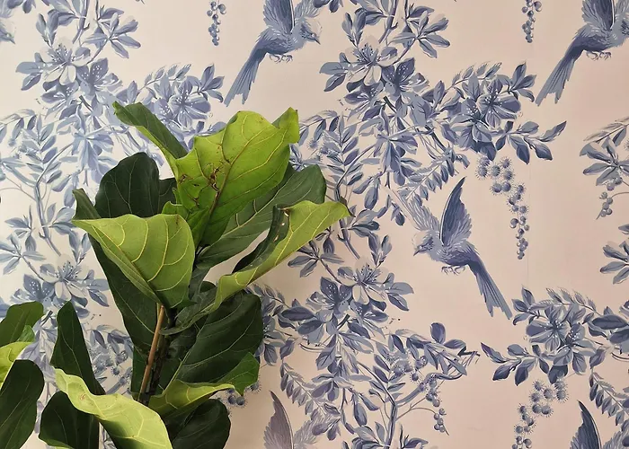 Donna Rosa - Your In