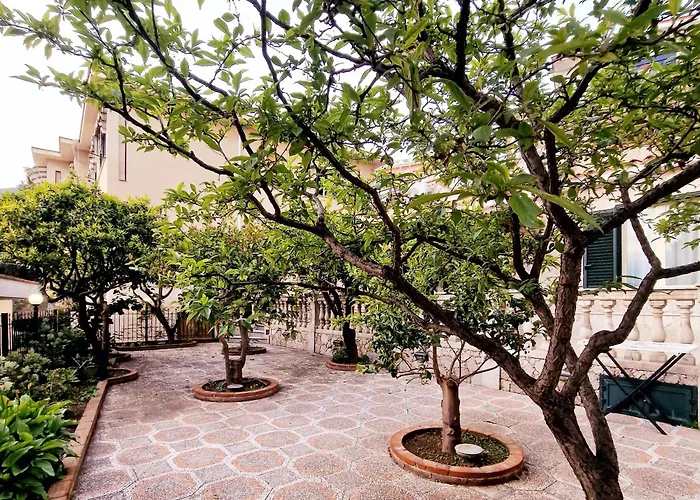 Donna Rosa - Your In * טאורמינה